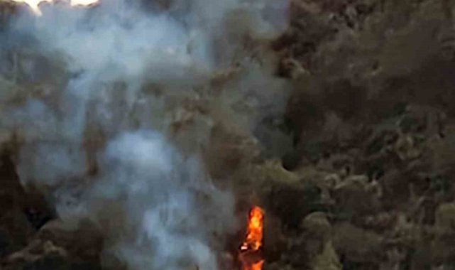 Marmaris Karacasöğüt'te orman yangını