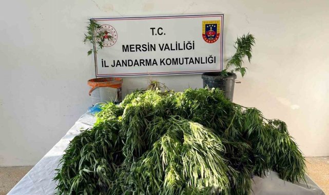 Mersin'de uyuşturucu satıcılarına operasyon: 3 gözaltı
