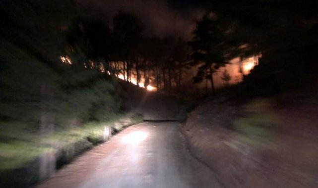 Muğla'da 3 hektar orman yandı