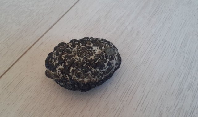 Muhtar bulduğu taşın incelenmesini istiyor