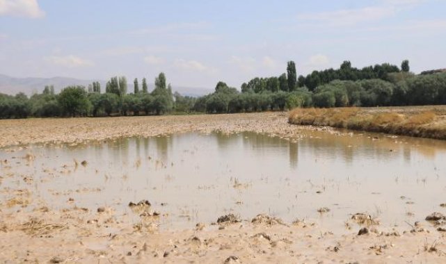 Nevşehir'de ekili alanlarda hasar tespit çalışmaları sürüyor