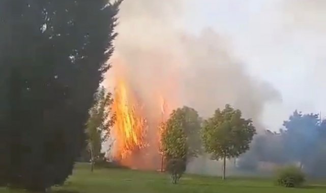 Parkta çıkan yangın itfaiye ekiplerince söndürüldü