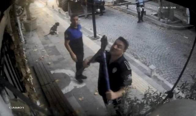 Sarıyer'de tartışmaya neden olan zeytin ağaçlarına şafak operasyonu
