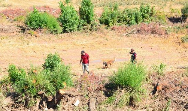 Selde kaybolan Asel'i kadavra köpekleri arıyor