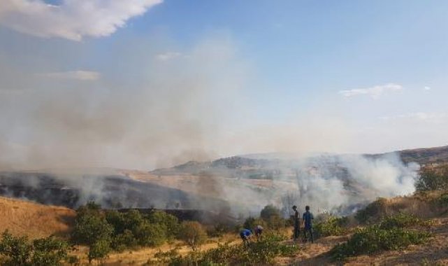 Siirt'te çıkan yangında 20 dönüm fıstık ve üzüm bağı zarar gördü