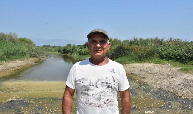 Söke'nin sulak alanlarına moloz tehdidi