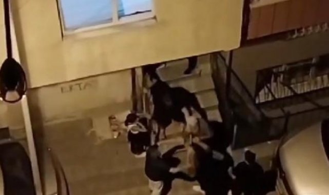 Sultangazi'de nikah iptal oldu; ailelerin kavgası sokağa taşındı