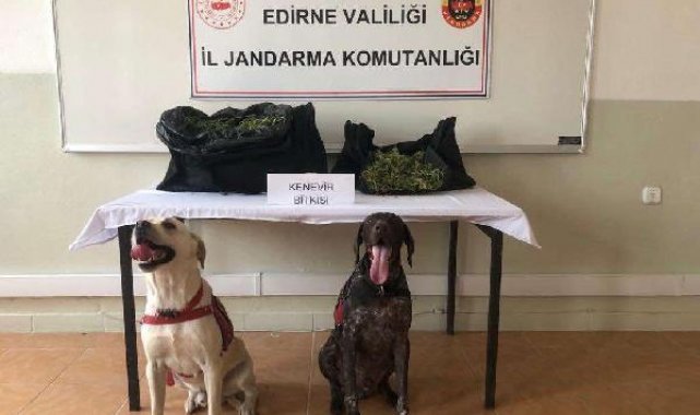 Takside, çantalarında 6 kilo esrar çıkan yolcu tutuklandı