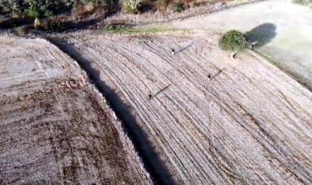 Tekirdağ'da 122 kaçak göçmen yakalandı, 9 organizatör tutuklandı