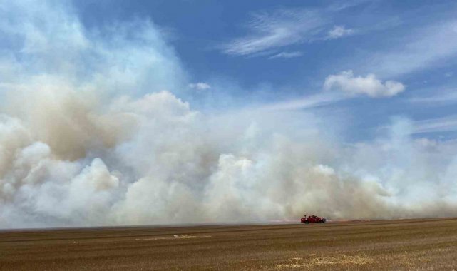 Tekirdağ'da 500 dönüm anız alev alev yandı