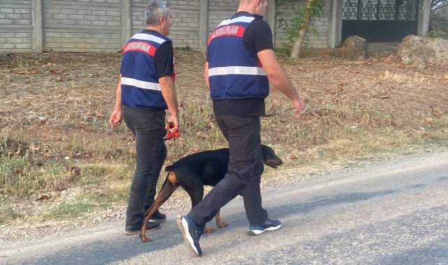 Tina, sahibi Korhan Berzeg'i arıyor