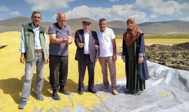 TMO Ardahan'da ilk kez hububat alıma başladı