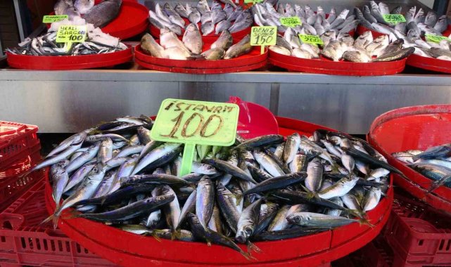 Trabzon'da balık av sezonu sönük başladı