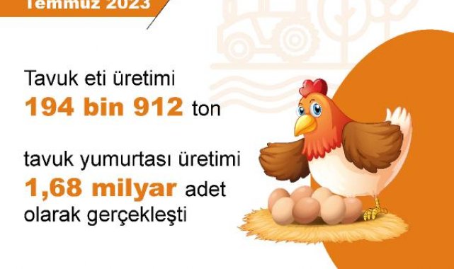 TÜİK: Yumurta ve tavuk eti üretimi arttı, içme sütü üretimi azaldı