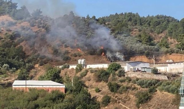 Turgutlu'da ot yangını, büyümden söndürüldü