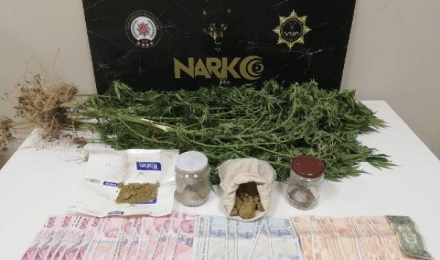 Van'da uyuşturucu operasyonlarına 19 gözaltı