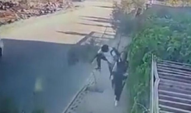 Yüzünü çarptığı zeytin fidanının dalını kırdı