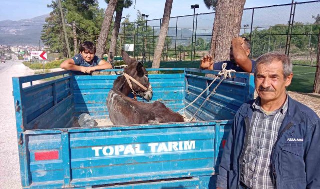 'Karakaçan'ın patpat römorkundaki veteriner yolculuğu yürekleri ısıttı