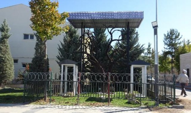'Şehitler Ağacı'ndan künye çalan anne ile oğluna para cezası