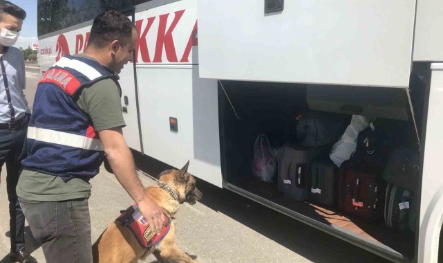42 düzensiz göçmene 488 bin TL ceza yazıldı