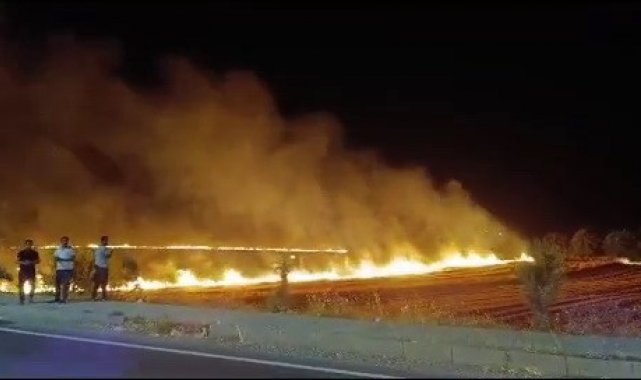 Adıyaman'da korkutan anız yangını