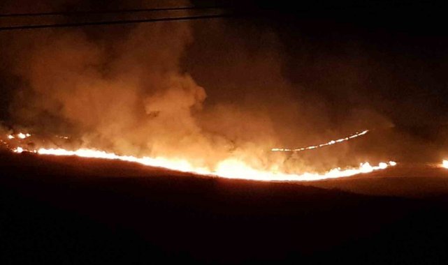 Alaca'da anız yangını