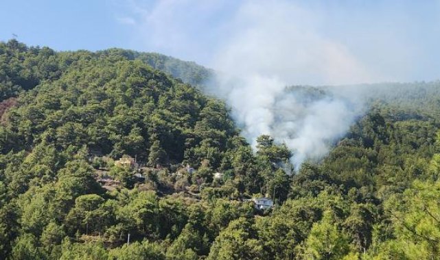 Antalya'da 2 dönüm orman yandı