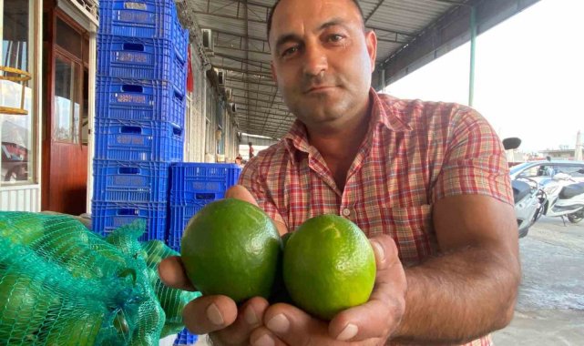 Antalya'da halde limon 3 TL'ye kadar düştü