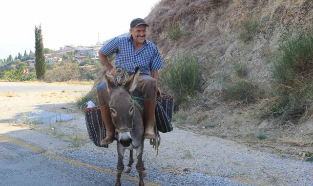 Aydın dağlarında eşekler halen revaçta