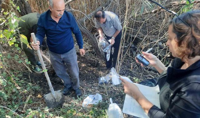 Aydın'da yaban hayvanı alanı incelendi