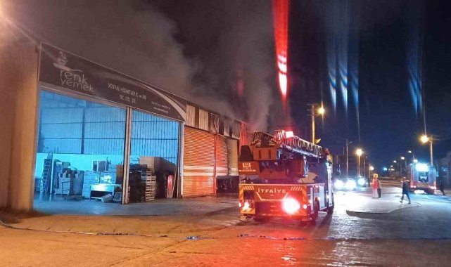 Aydın'daki yangında üç iş yeri zarar gördü