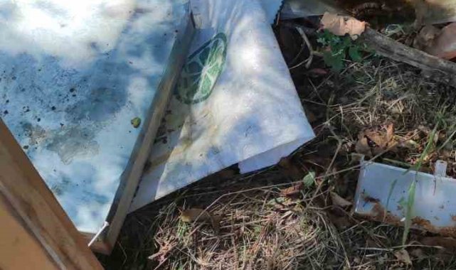 Bahçeye giren ayılar arı kovanlarına ve çevreye zarar verdi
