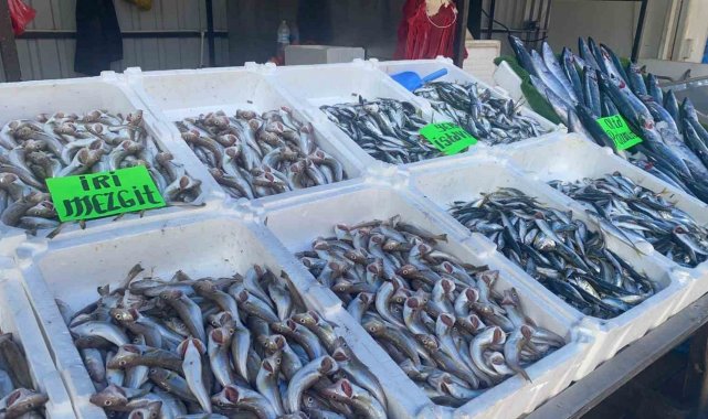 Balıkçıların yüzü güldü, kasa kasa hamsi avlandı