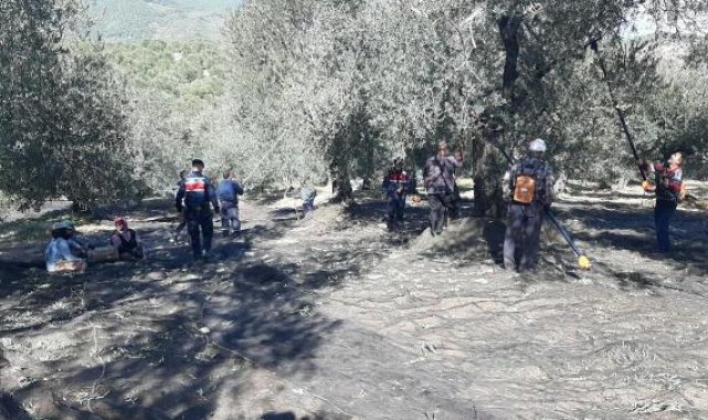 Balıkesir'de jandarma komanda ve motorlu timler zeytinler için devriyede