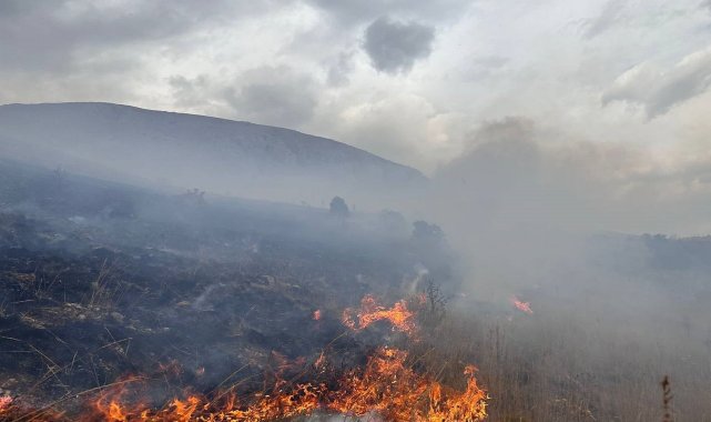 Bayburt'ta çıkan mera yangınında 80 hektar alan küle döndü