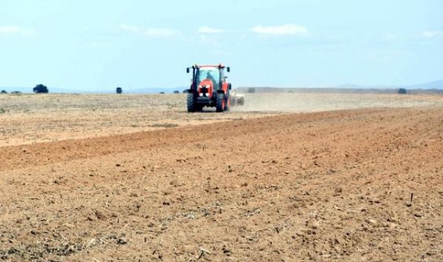 Birinci sınıf tarım arazisine plastik OSB kurulmasına mahkeme izin vermedi
