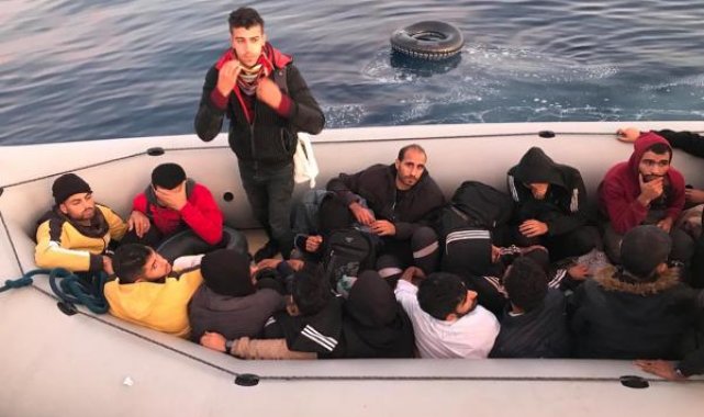 Bodrum'da 53 kaçak göçmen yakalandı