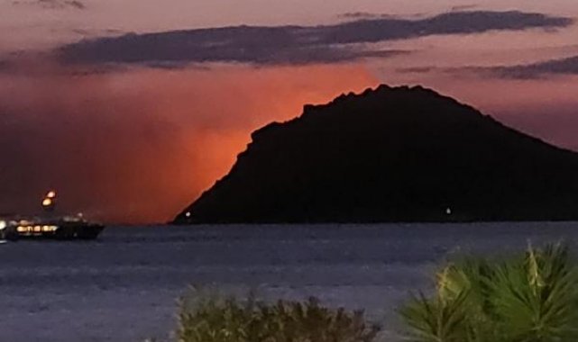 Bodrum'da 60 dönüm otluk ve makilik yandı