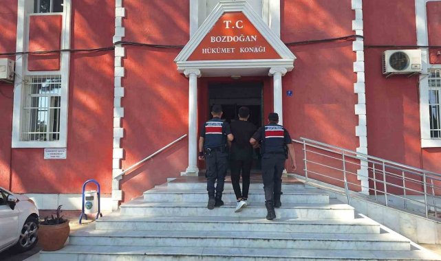 Bozdoğan'da 85 bin liralık incir çaldı, jandarmaya yakalandı
