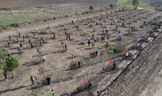 Büyükçekmece'de '100. Yıl Cumhuriyet Ormanı' oluşturuldu