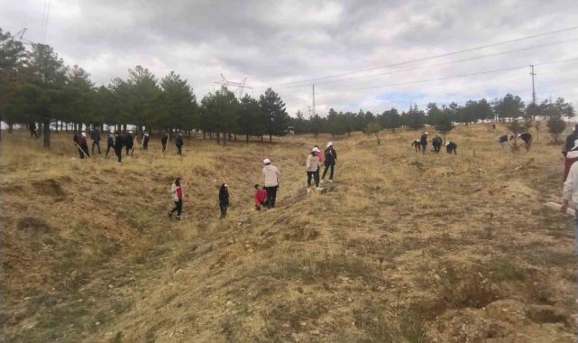 Büyükşehir, Bünyan'da öğrencilerle bin adet ağaç dikti