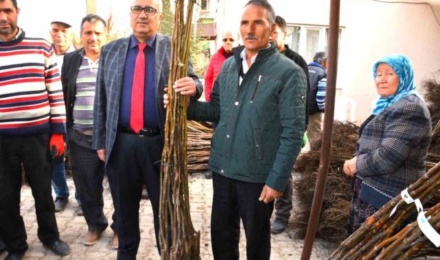 Çameli'nde ceviz üretimini artırmak için fidan desteği verilecek