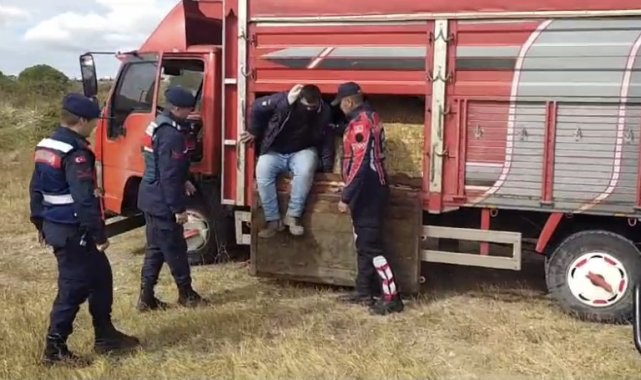 Çanakkale'de saman balyaları arasına gizlenmiş 27 kaçak göçmen yakalandı