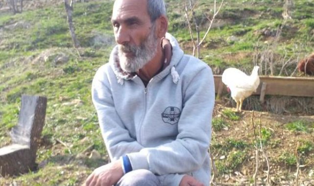 Ceviz toplamak için çıktığı ağacından düşüp öldü