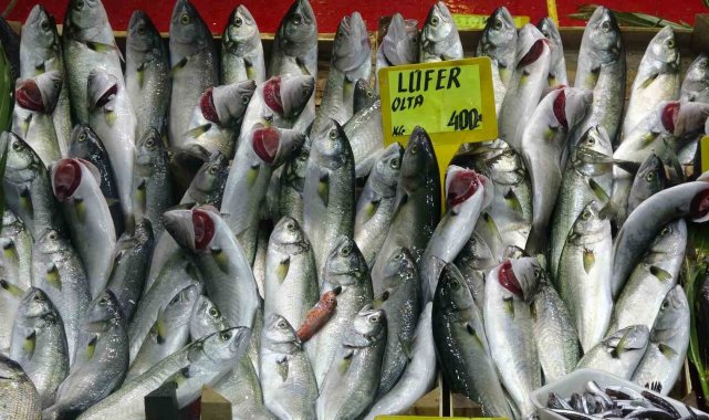 Denizlerin prensi 'lüfer' yarı yarıya ucuzladı