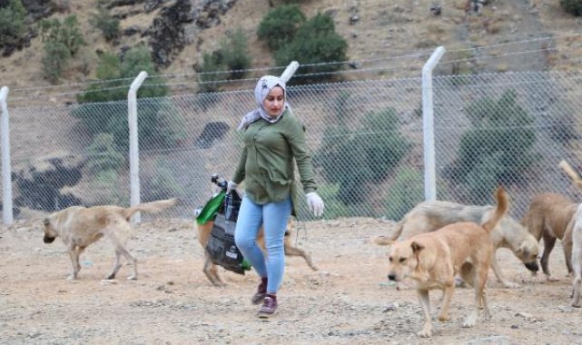 Depremde ölen Eda öğretmenin baktığı sokak köpeklerini kuaför Fadime besliyor
