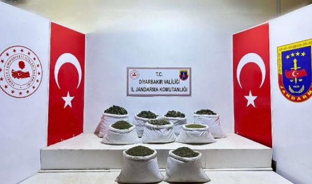 Diyarbakır'da 350 bin 620 kök Hint keneviri ve skunk bitkisi, 121 kilo esrar ele geçirildi