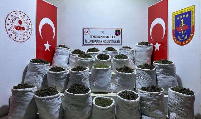 Diyarbakır'da 435 kilo esrar, 632 bin kök kenevir ile skunk ele geçirildi: 3 gözaltı
