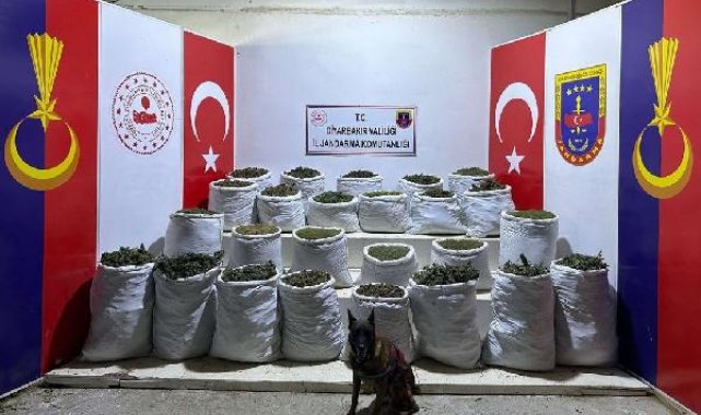 Diyarbakır'da, 603 kilo esrar ile 640 bin 600 kök Hint keneviri ve skunk ele geçirildi