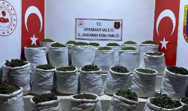 Diyarbakır'da 783 kilo esrar, 23 bin kök Hint keneviri ve skunk bitkisi ele geçirildi